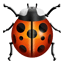 🐞