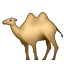 🐫
