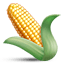 🌽
