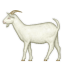๐