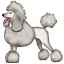 ๐ฉ