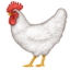 🐓